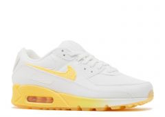 Pantofi Sport Nike WMNS AIR MAX 90 SE Female 